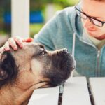 How Pet Loss Counseling Training Prepares You to Support Grieving Pet Owners