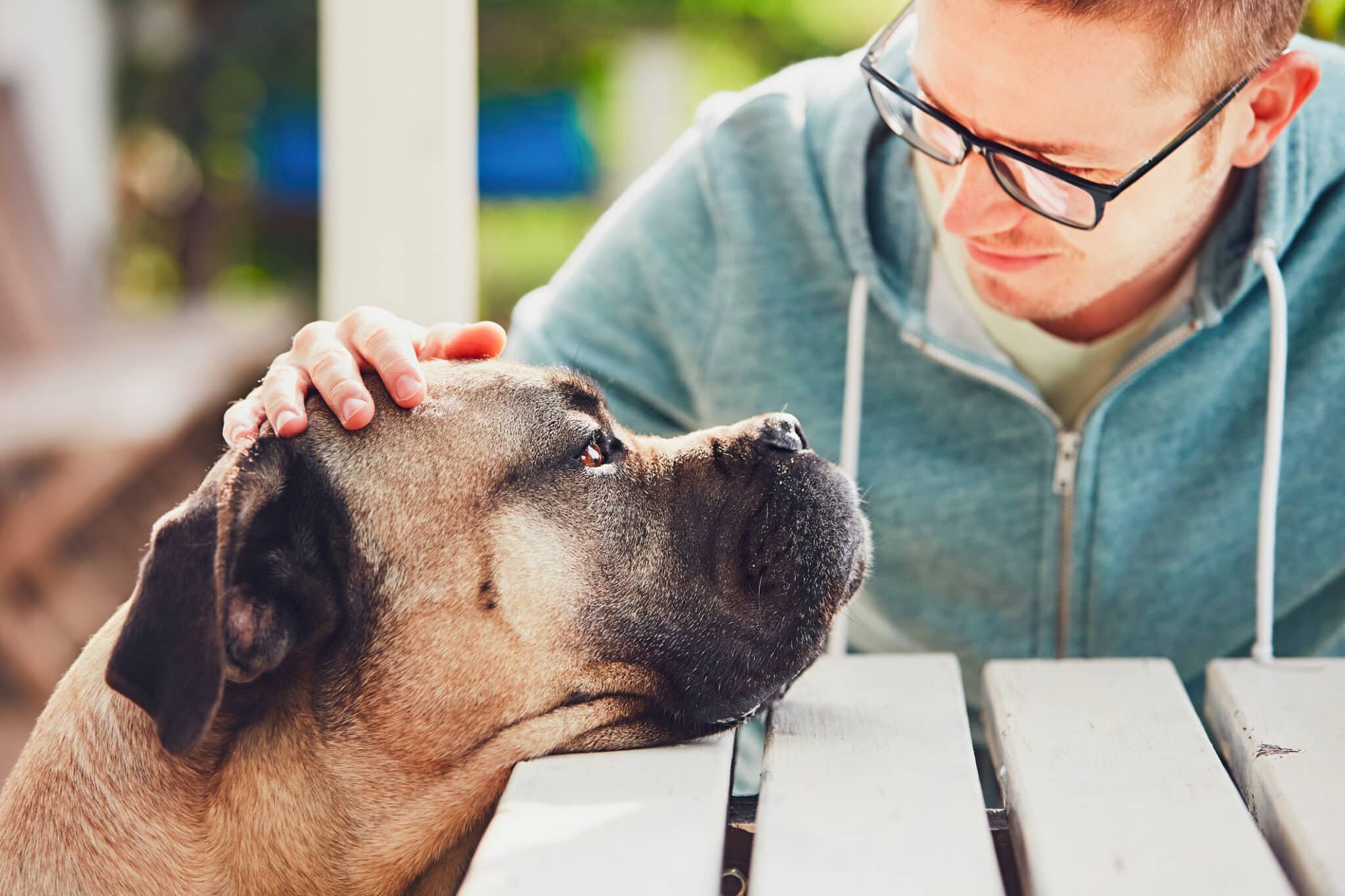 How Pet Loss Counseling Training Prepares You to Support Grieving Pet Owners